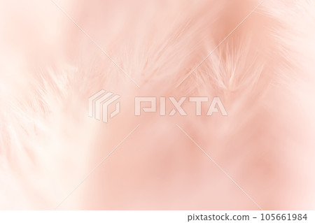 Fluffy and warm background material 105661984