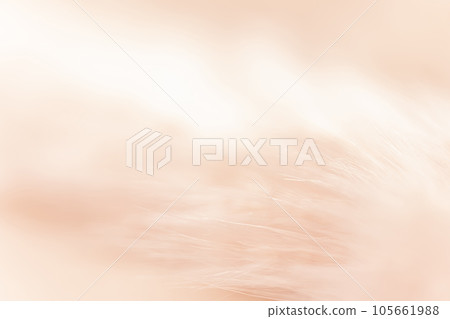 蓬鬆溫暖的背景素材 105661988