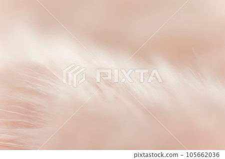 Fluffy and warm background material Fluffy and warm background material 105662036