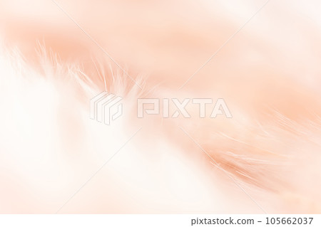 Fluffy and warm background material 105662037