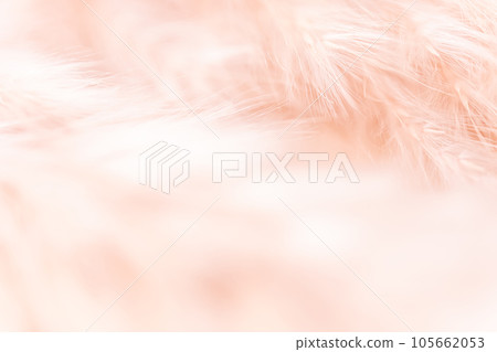 Fluffy and warm background material Fluffy and warm background material 105662053