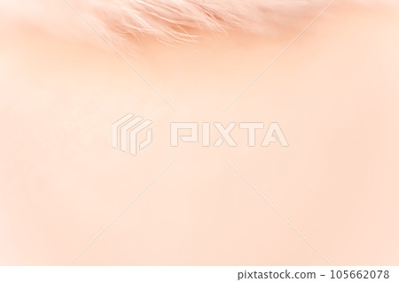 Fluffy and warm background material Fluffy and warm background material 105662078