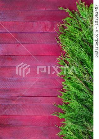 Texture of red and purple boards with branches of green thuja. Christmas, New Year. Vertical. Copy space Texture of red and purple boards with branches of green thuja. Christmas, New Year. Vertical. Copy space 105662487