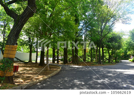 Mabashi Park Koenji Suginami Ward Mabashi Park Koenji Suginami Ward 105662619