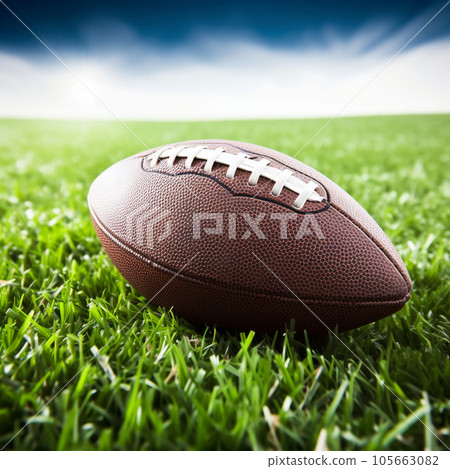 American football ball on green grass 105663082