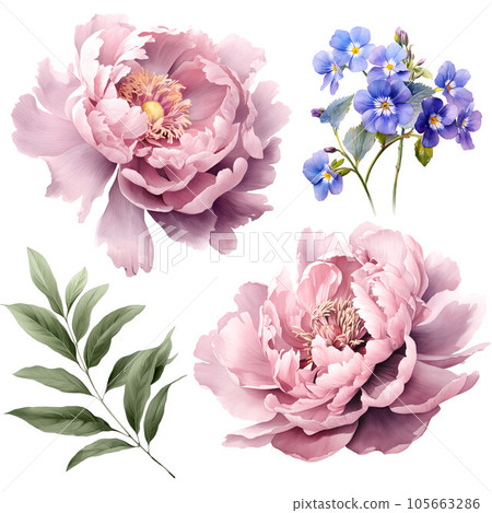 Beautiful image with gentle hand drawn peony flowers. Floral stock illustration. Beautiful image with gentle hand drawn peony flowers. Floral stock illustration. 105663286