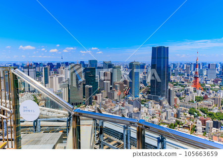 Tokyo, Minato Ward, Roppongi Hills Observation Deck, View from the Sky Deck 105663659