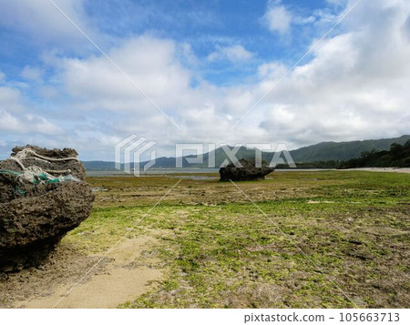 冬天的川平灣，退潮時的海岸（沖繩縣石垣島） 105663713