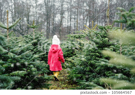 Adorable little toddler girl with Christmas tree on fir tree cutting plantation . Happy child in winter fashion clothes choosing, cut and felling own xmas tree in forest, family tradition in Germany Adorable little toddler girl with Christmas tree on fir tree cutting plantation . Happy child in winter fashion clothes choosing, cut and felling own xmas tree in forest, family tradition in Germany 105664567