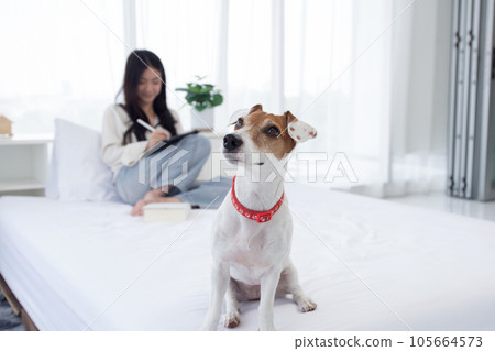 Beautiful young asian woman smile sitting using on digital tablet computer with dog. 105664573