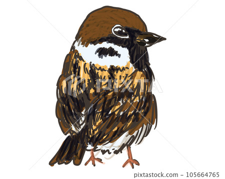 正面麻雀 105664765