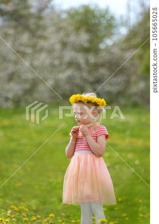 Portrait of beautiful towheaded girl with dandelion wreath on the meadow. Vertical frame. Blurred background. Portrait of beautiful towheaded girl with dandelion wreath on the meadow. Vertical frame. Blurred background. 105665028