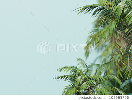 Background with palms and empty space for text. Side border with copy space. Realistic palm leaves. 3D rendering. Background with palms and empty space for text. Side border with copy space. Realistic palm leaves. 3D rendering. 105665766
