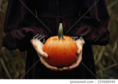 The old woman's hands are holding a round pumpkin The old woman's hands are holding a round pumpkin 105666048