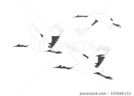 起重機飛行 105666132