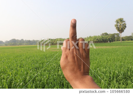 finger sign on wheat farm for deaf finger sign on wheat farm for deaf 105666580