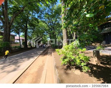 Choishi and Juhachicho on the approach to Omiya Hikawa Shrine 105667064