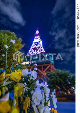 北海道札幌電視塔夜景 105667166