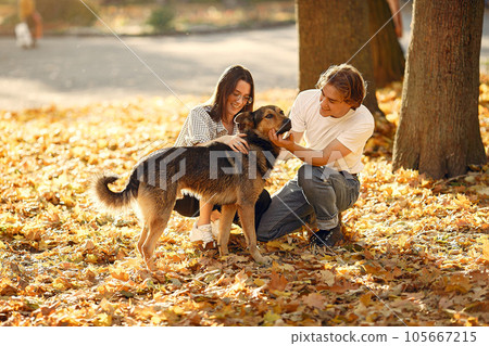 Couple in a park. Guy in a white t-shirt. Golden autumn. People with dog. 105667215
