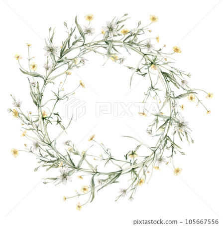 Wreath of yellow and white flower meadow, forest flowers. Buttercup, stellaria holostea.Watercolor hand painting illustration on isolate. , circlet of flowers 105667556