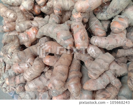 raw turmeric stock on shop for sell 105668243