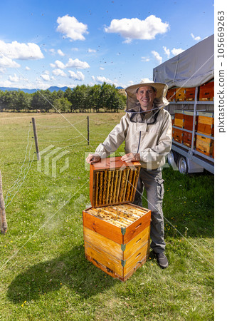 Male beekeeper wearing protective costume 105669263