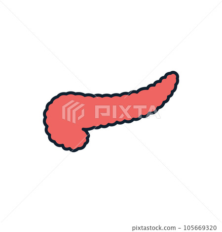 Pancreas Vector Line Icons 105669320
