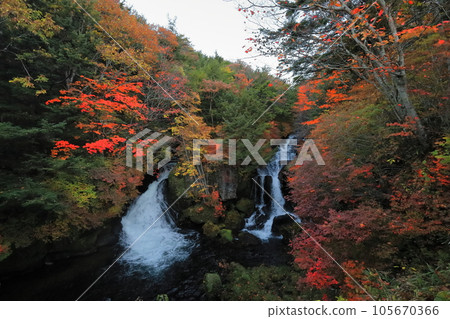 Autumn Nikko Ryuzu Falls / Nikko City, Tochigi Prefecture Autumn Nikko Ryuzu Falls / Nikko City, Tochigi Prefecture 105670366