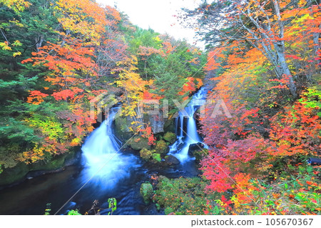 Autumn Nikko Ryuzu Falls / Nikko City, Tochigi Prefecture 105670367
