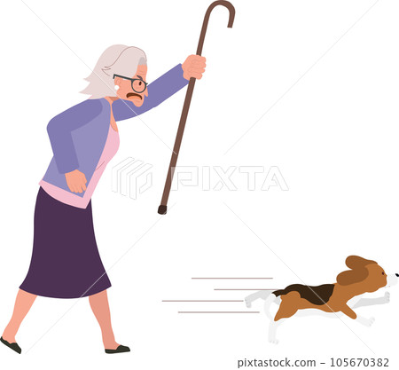 Angry Elderly Woman Determinedly Pursuing Her Energetic Dog. Old Woman Pursuing Her Pet Dog. 105670382