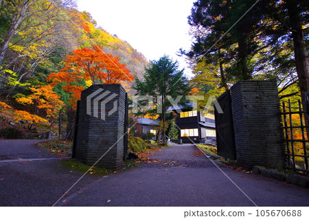 栃木縣日光市英國大使館別墅紀念公園的秋葉 栃木縣日光市英國大使館別墅紀念公園的秋葉 105670688