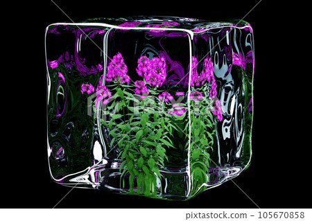 冰中永恆之美：福祿考3D藝術 105670858