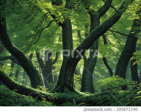 Amazing forest under moonligh Amazing forest under moonligh 105671140