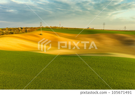 Green wavy hills with agricultural fields 105671491