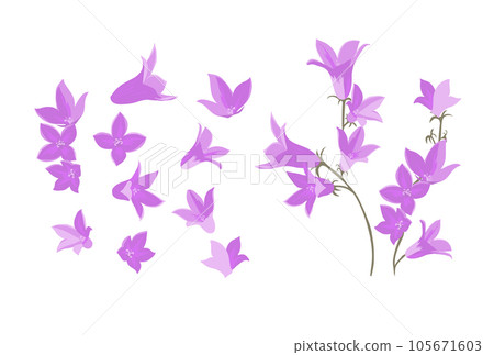Flowers bluebells object on white background. Vector illustration Flowers bluebells object on white background. Vector illustration 105671603