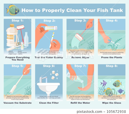How properly clean fish tank step-by-step infographic 105672938