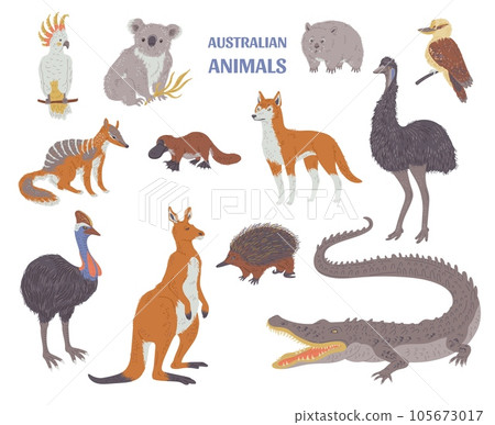 Set of various Australian animals flat style, vector illustration 105673017