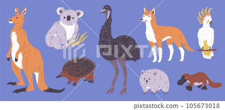 Set of Australian wild animals, flat vector illustration isolated on blue background. 105673018
