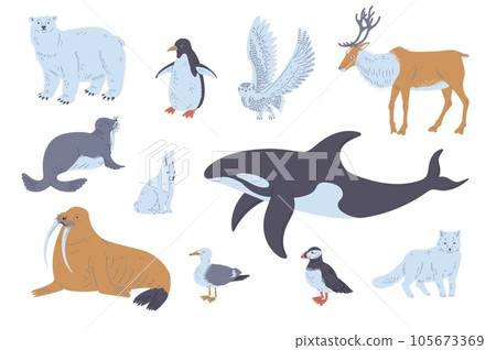 Arctic or polar circle animals and birds set flat vector illustration isolated. 105673369