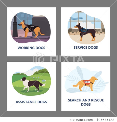 Assistance rescue and service dogs banners and badges set vector isolated. Assistance rescue and service dogs banners and badges set vector isolated. 105673428
