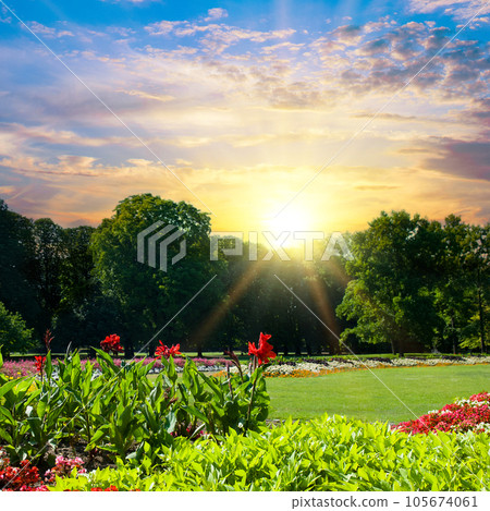 A beautiful summer garden and a bright sun rise. 105674061