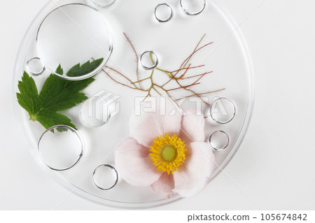Chemical laboratory research. Abstract cosmetic laboratory. Glass model of molecules. 105674842