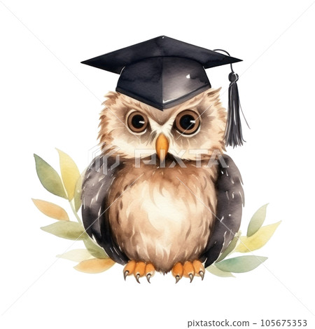 Cute watercolor owl in graduarion cap isolated Cute watercolor owl in graduarion cap isolated 105675353