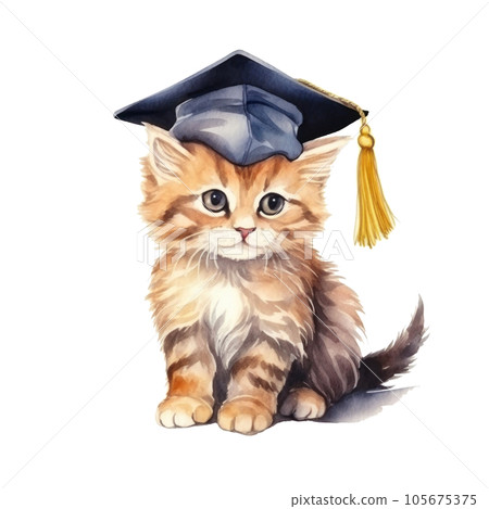 Cute watercolor cat in graduarion cap isolated Cute watercolor cat in graduarion cap isolated 105675375