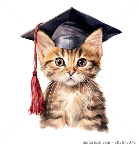 Cute watercolor cat in graduarion cap isolated Cute watercolor cat in graduarion cap isolated 105675376