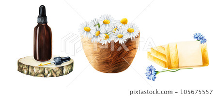 Watercolor bottle of serum with pipette on a wooden saw cut, wooden mortar with chamomile and soap isolated on white background. Beauty products and botany elements, cosmetology and medicine. For Watercolor bottle of serum with pipette on a wooden saw cut, wooden mortar with chamomile and soap isolated on white background. Beauty products and botany elements, cosmetology and medicine. For 105675557