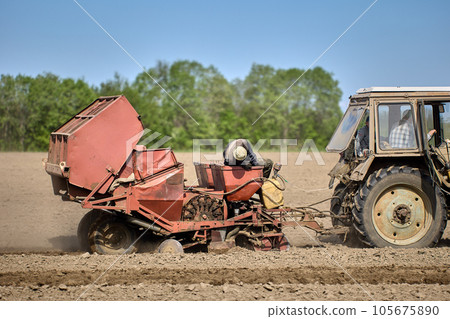 Potato planter planting potatoes in farm field during spring sowing. Potato planter planting potatoes in farm field during spring sowing. 105675890