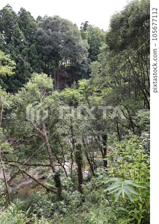 Nagashino Castle Ruins Torii Suneemon Legend View the Crucifixion Grounds from the Castle Nagashino Castle Ruins Torii Suneemon Legend View the Crucifixion Grounds from the Castle 105677112