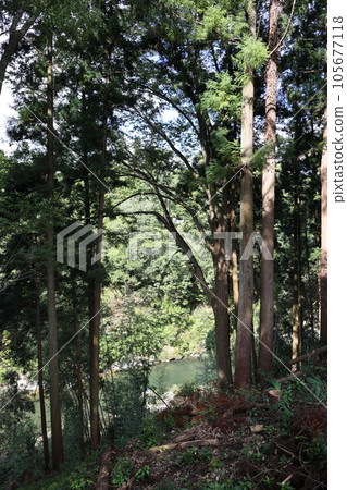 長筱城遺址 鳥居須右衛門 傳說受難遺址 長筱城遺址 鳥居須右衛門 傳說受難遺址 105677118