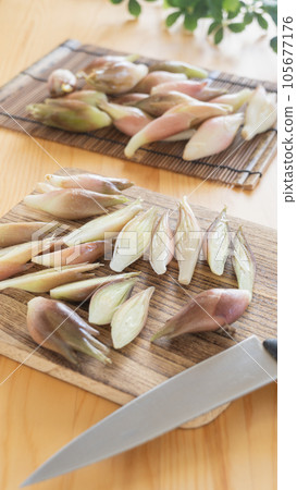 Ginger Ginger 105677176